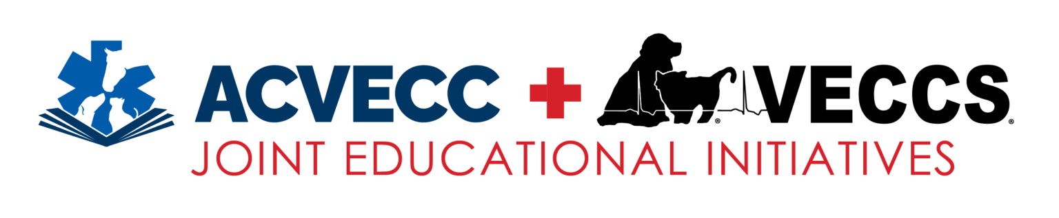 Foundations in ECC | VECCS