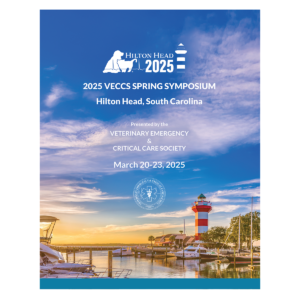 2025 Spring Proceedings Book Hilton Head